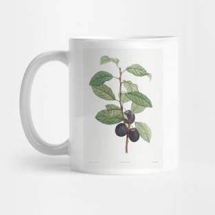 Vintage tree by Pierre-Joseph Redouté (1759–1840). Mug